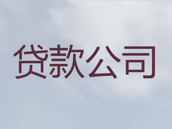 枣庄抵押贷款公司-信用贷款